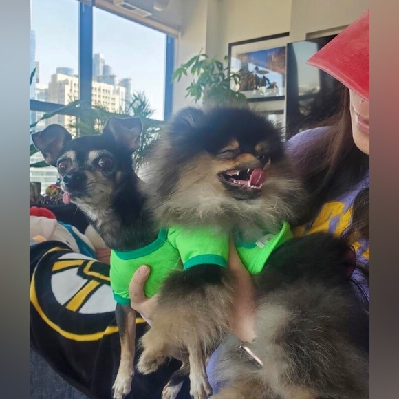 Meet your Posher, Regina! - Picture 4 of 16